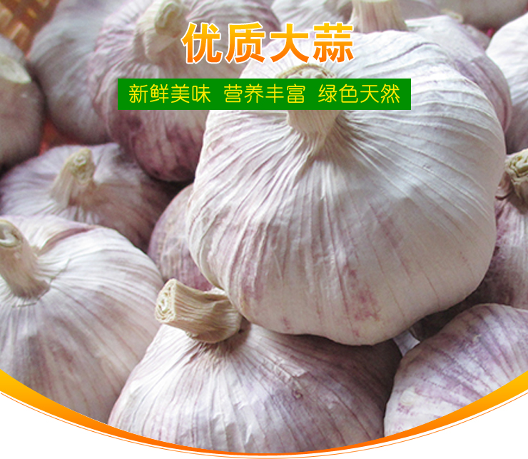 it服務外包_it維護外包_it外包服務公司