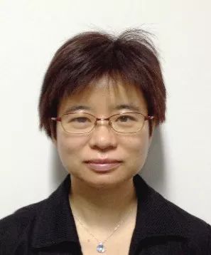 it公司_it公司速查手冊(cè)_石家莊it公司